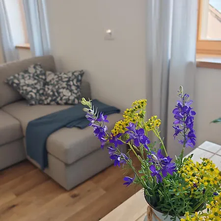 Apartment Hisa Sturm Tolmin