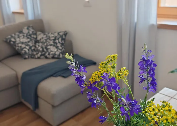 Appartement Hisa Sturm Tolmin