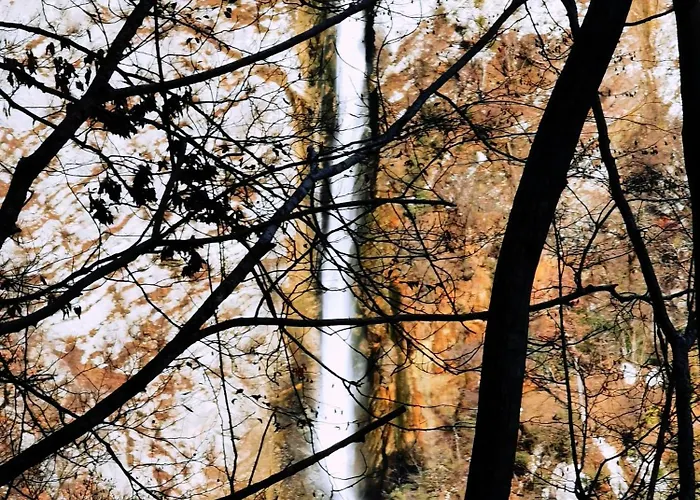 Hisa Sturm 托尔明